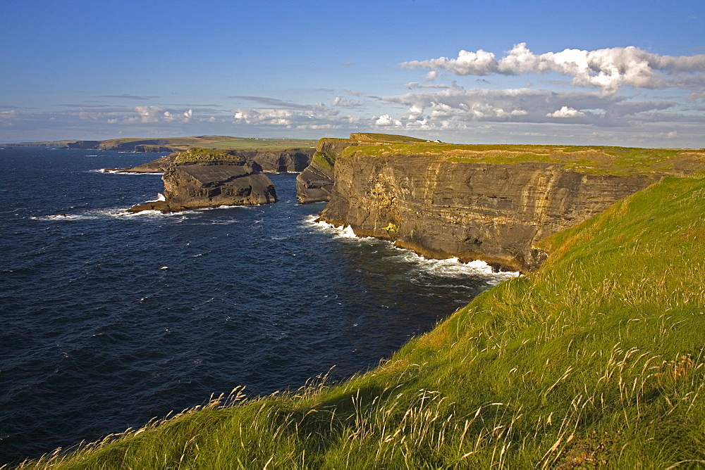 Cliffs near Kilkee, Loop Head, County Clare, Munster, Republic of Ireland, Europe