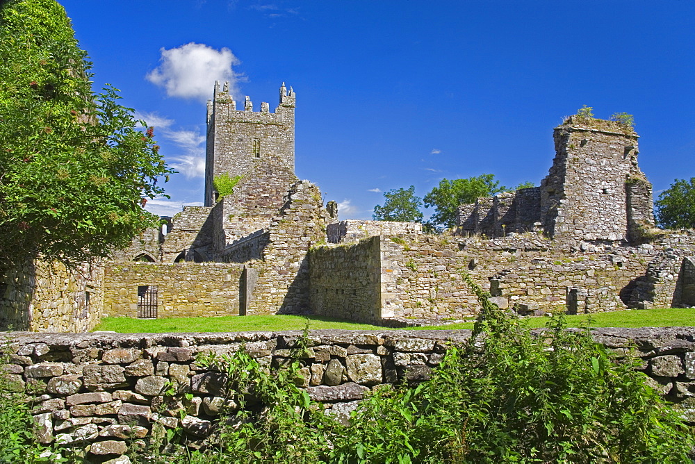 Jerpoint Abbey, County Kilkenny, Leinster, Republic of Ireland, Europe