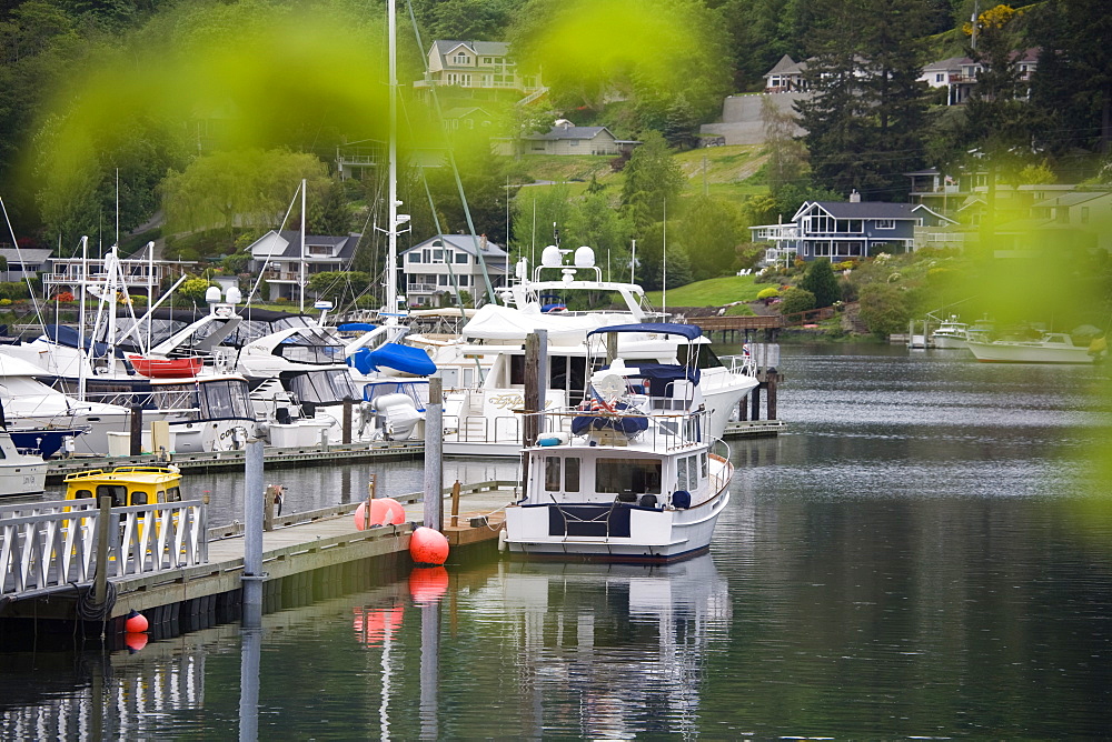 Gig Harbor Marina, Tacoma, Washington State, United States of America, North America