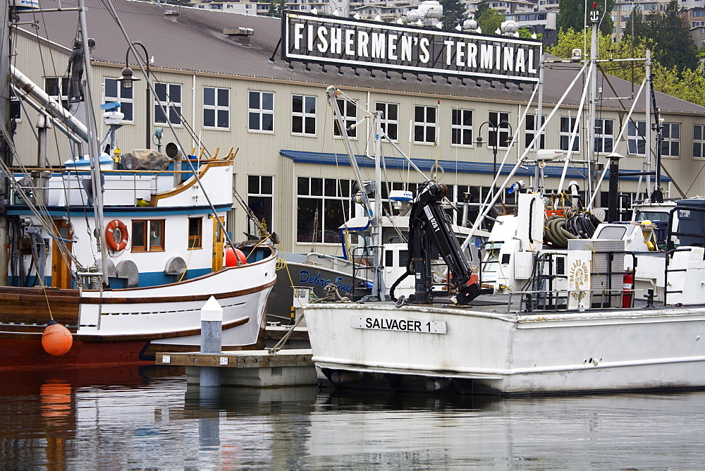 Fishermen's Terminal, Seattle, Washington State, United States of America, North America