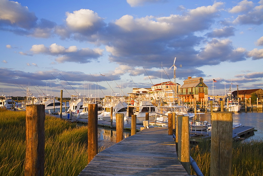 Cape May Harbor, Cape May County, New Jersey, United States of America, North America