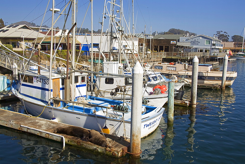 Fishing boats, City of Morro Bay, San Luis Obispo County, California, United States of America, North America