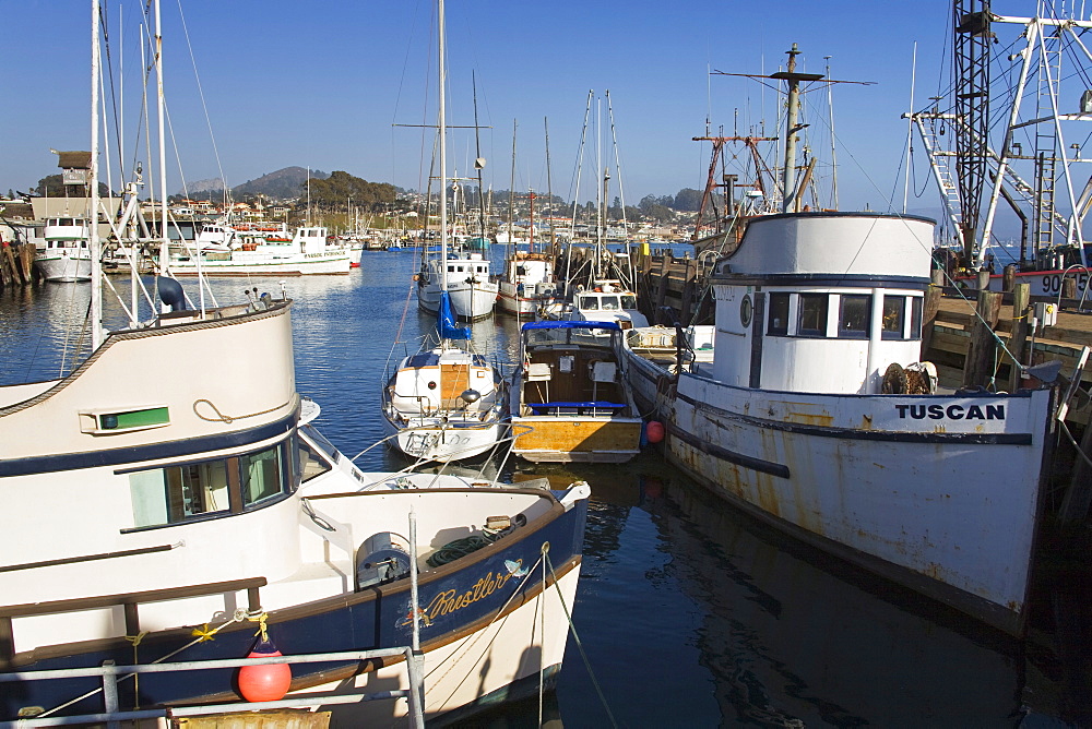 Fishing boats, City of Morro Bay, San Luis Obispo County, California, United States of America, North America