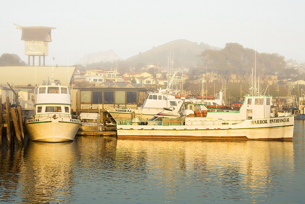 Fishing boats, City of Morro Bay, San Luis Obispo County, California, United States of America, North America