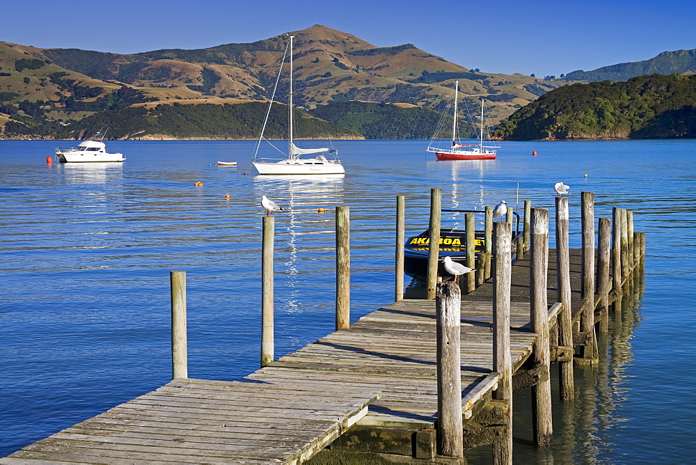 Daly's Wharf in French Bay, Akaroa, Banks Peninsula, Canterbury District, South Island, New Zealand, Pacific