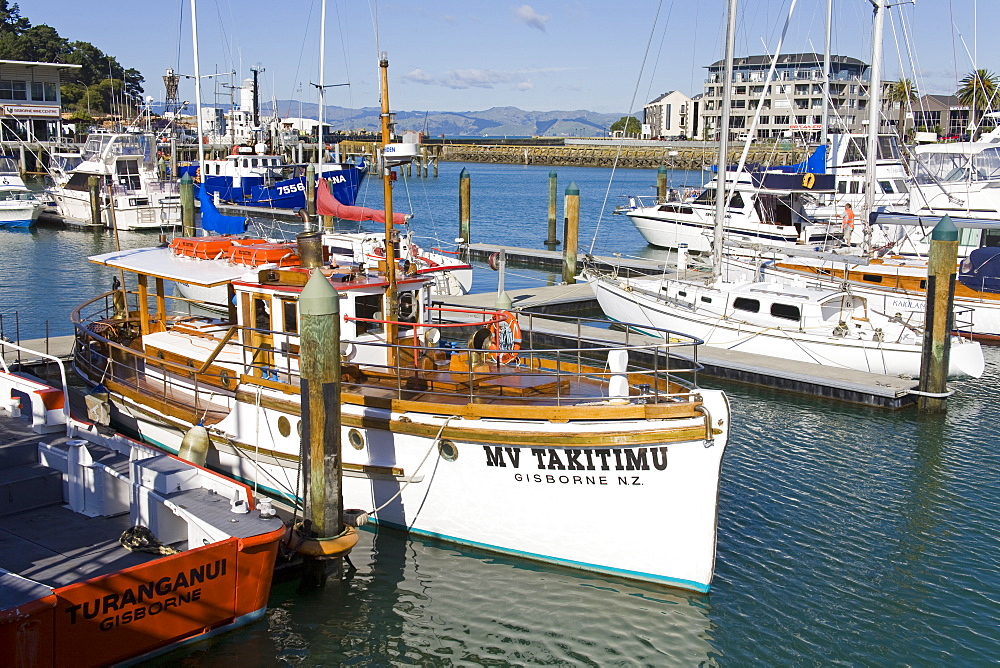 Inner Harbour, Gisborne, Eastland District, North Island, New Zealand, Pacific