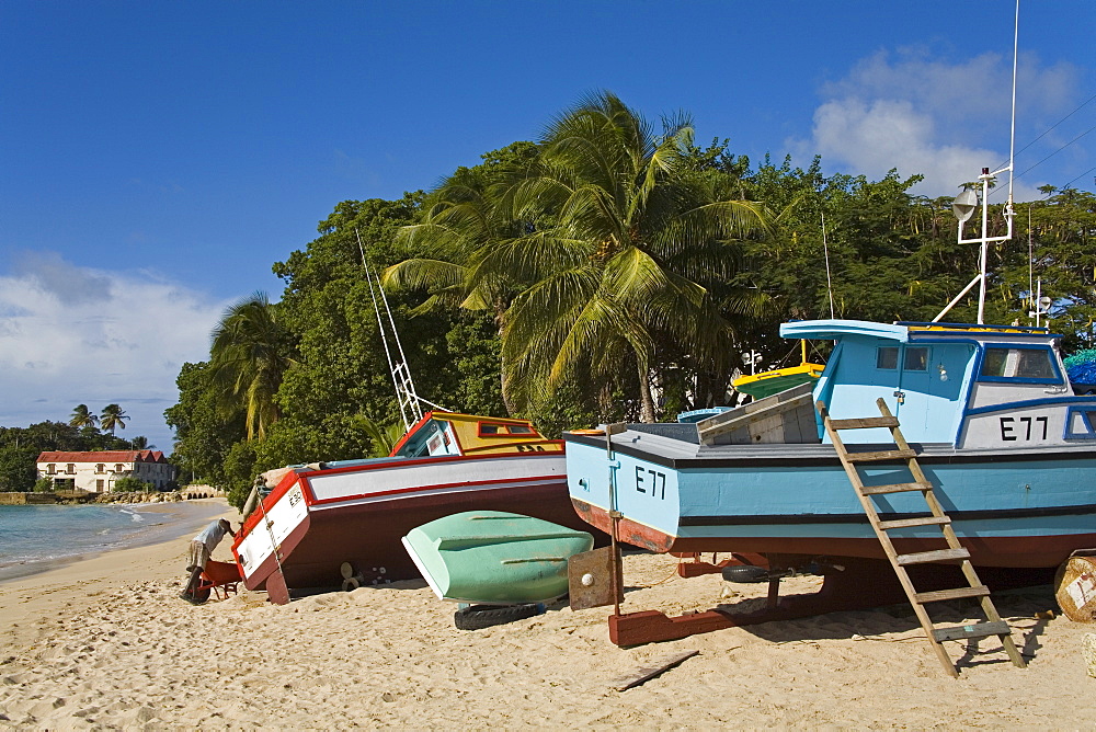 Fishing boats, Port St. Charles, Speightstown, Barbados, West Indies, Caribbean, Central America