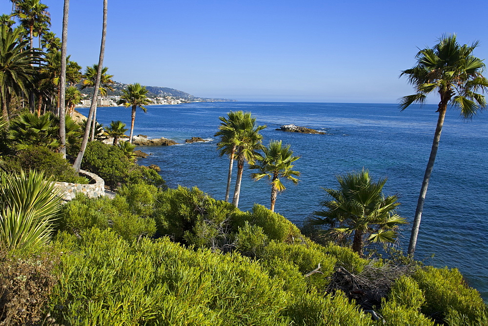 Heisler Park in Laguna Beach, Orange County, California, United States of America, North America