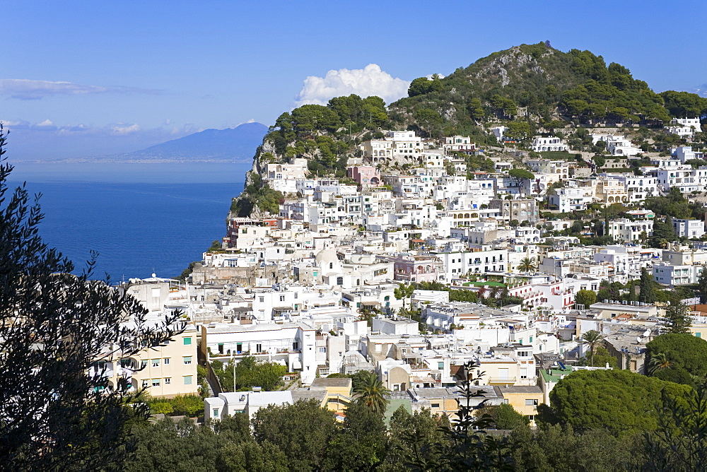 Capri town on Capri Island, Bay of Naples, Campania, Italy, Europe