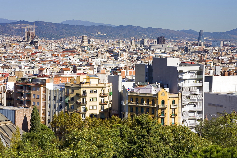 Skyline viewed from Montjuic District, Barcelona, Catalonia, Spain, Europe