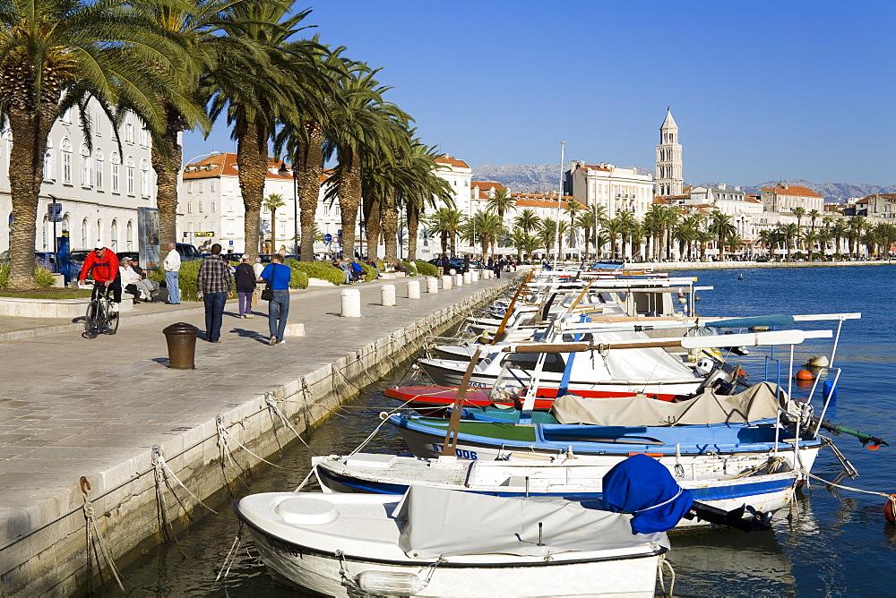 Fishing boats on the waterfront, Split, Dalmatian Coast, Croatia, Europe