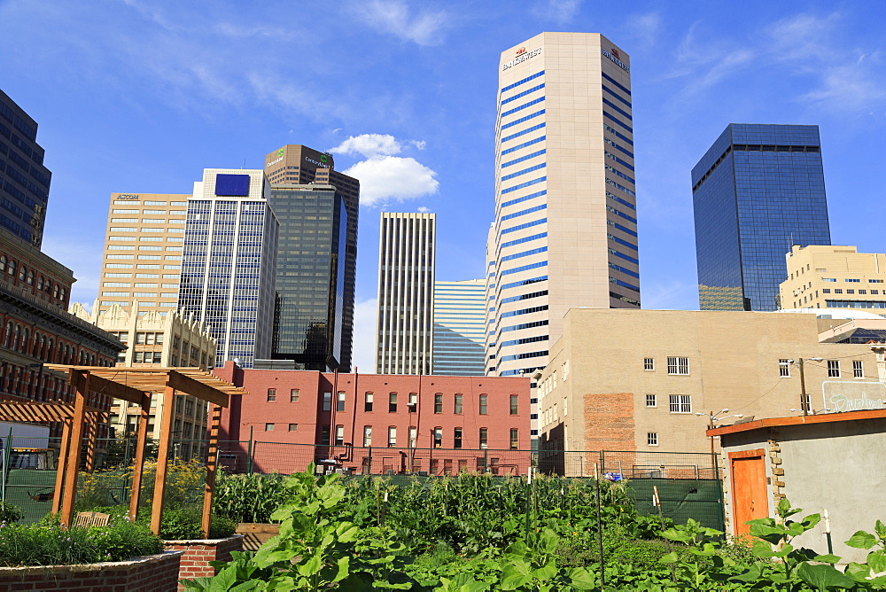 Skyline, Denver, Colorado, United States of America, North America 