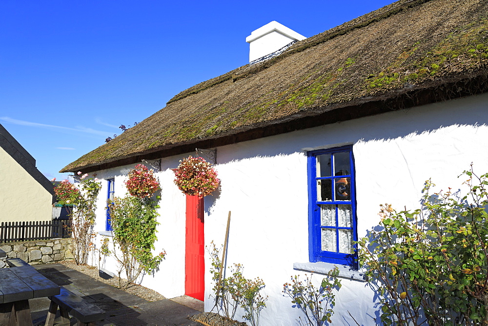 Thatched cottage near Bunratty Castle, County Clare, Munster, Republic of Ireland, Europe