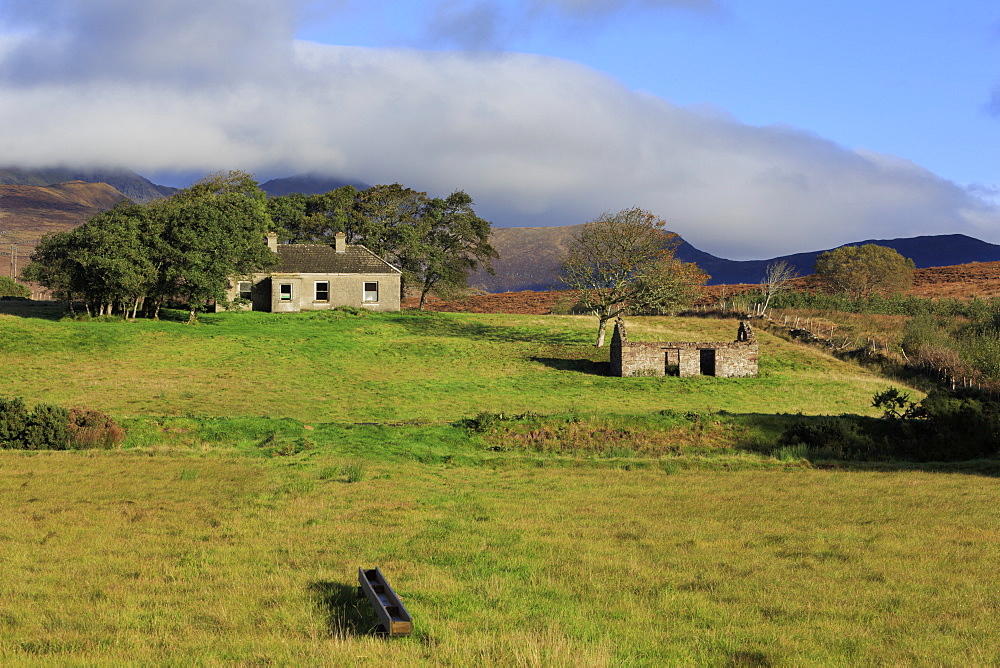 Cottage ruins near Mulranny, County Mayo, Connaught (Connacht), Republic of Ireland, Europe