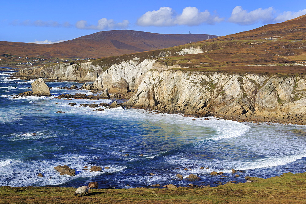 Coastline on Atlantic Drive, Achill Island, County Mayo, Connaught (Connacht), Republic of Ireland, Europe