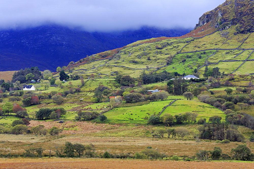 Mountains and rural landscape, Leenane, County Mayo, Connaught (Connacht), Republic of Ireland, Europe