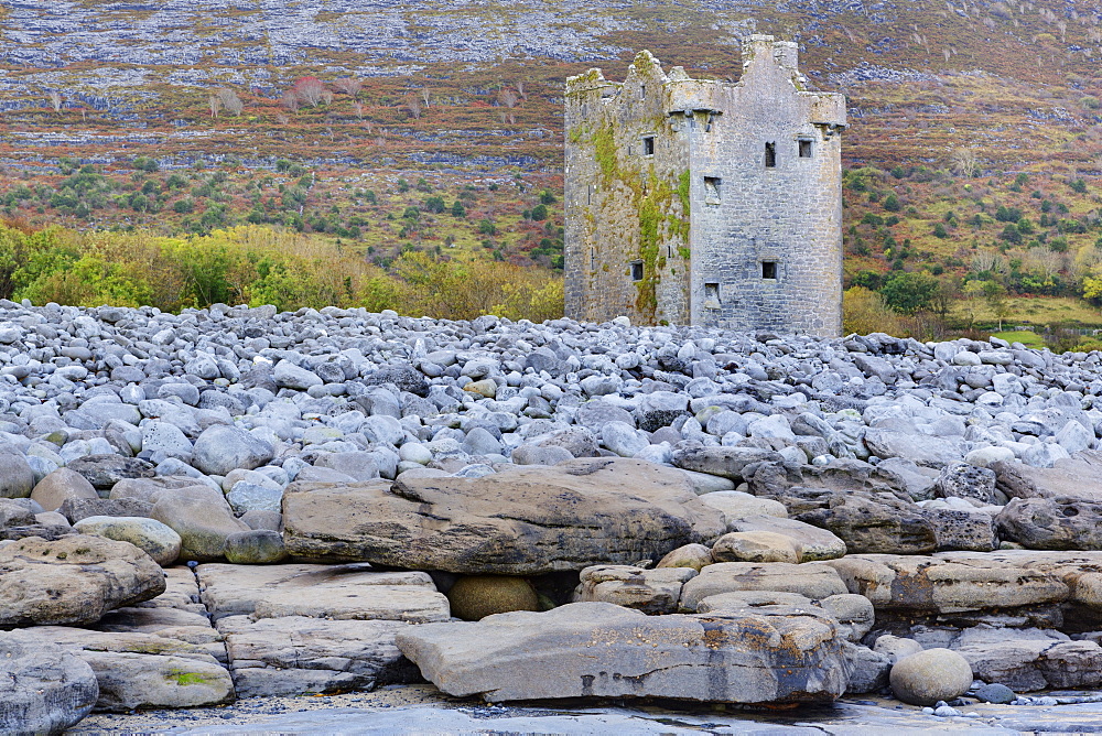 Gleninagh Castle in The Burren, County Clare, Munster, Ireland, Europe