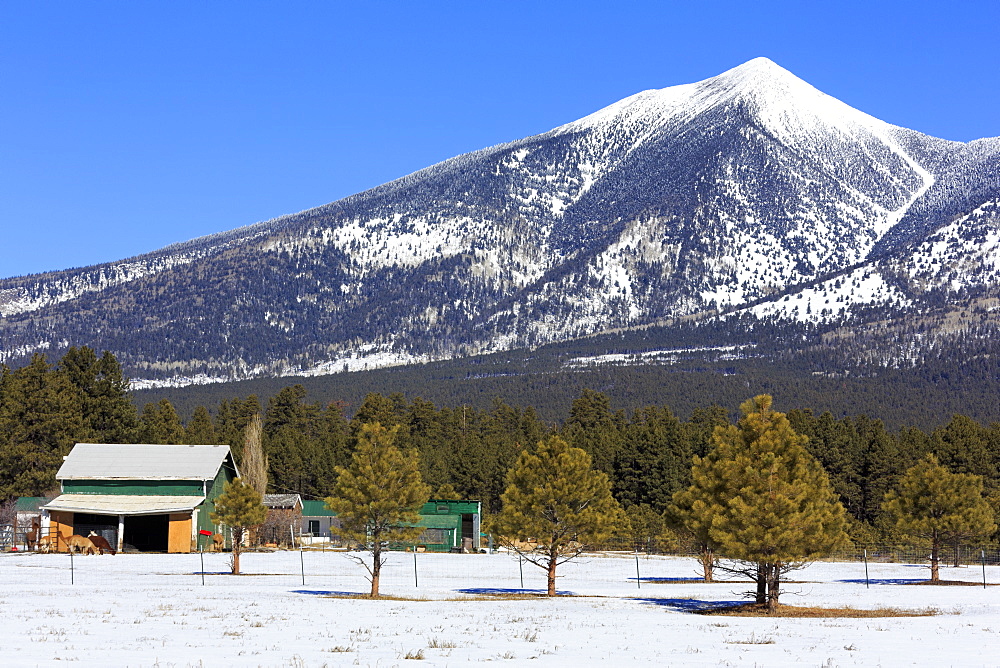 San Francisco Peak, Flagstaff, Arizona, United States of America, North America 