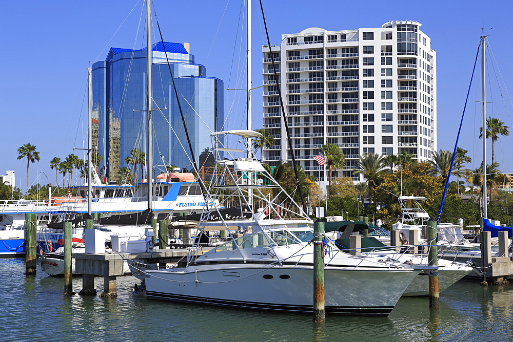 Bayfront Marina, Sarasota, Florida, United States of America, North America