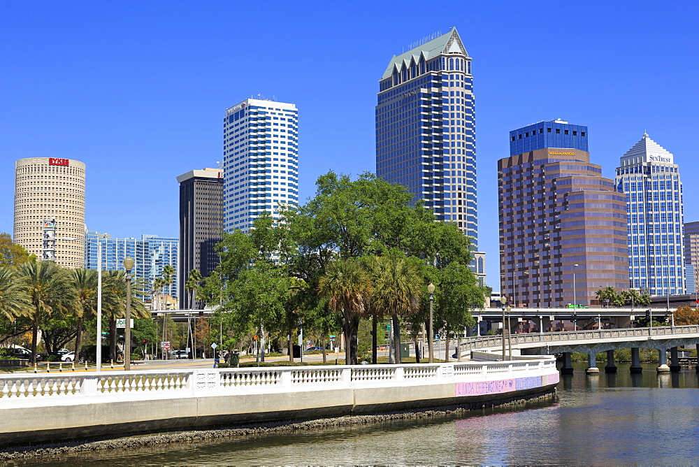 Tampa skyline and Hillsborough River, Tampa, Florida, United States of America, North America