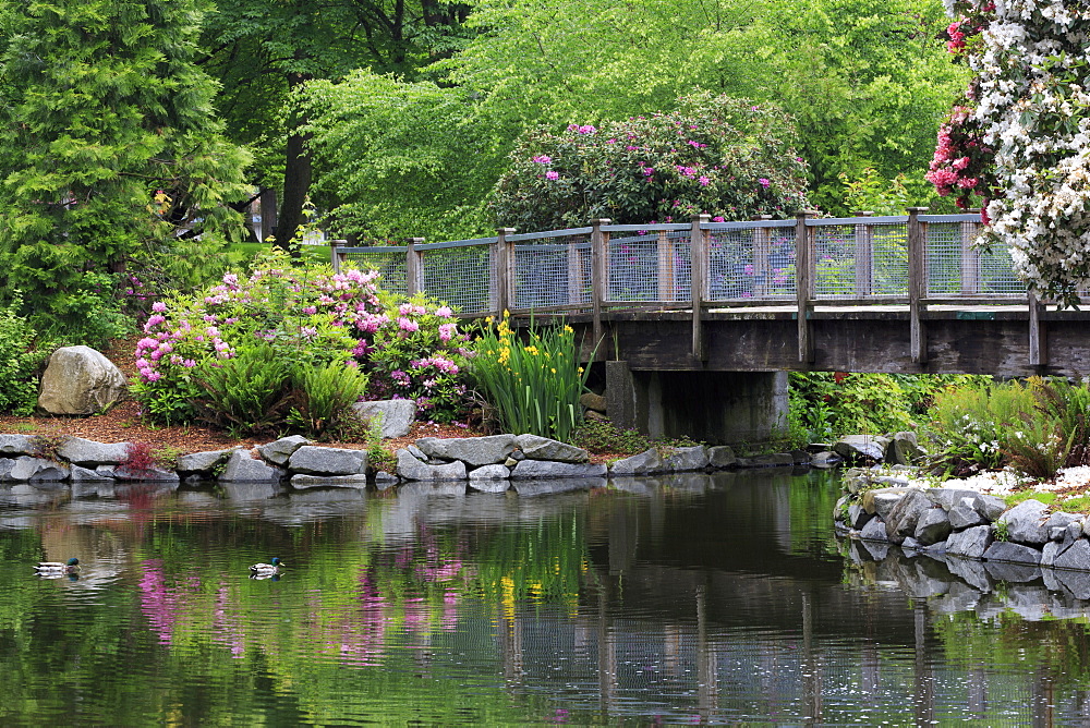 Wright Park, Tacoma, Washington State, United States of America, North America