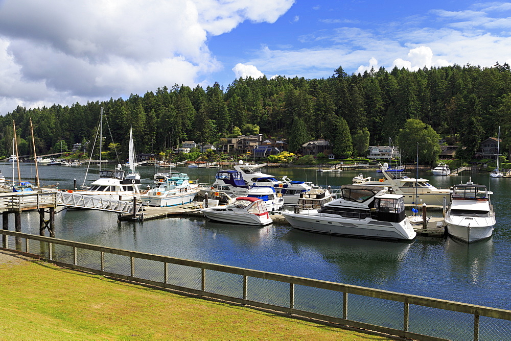 Gig Harbor Marina, Tacoma, Washington State, United States of America, North America