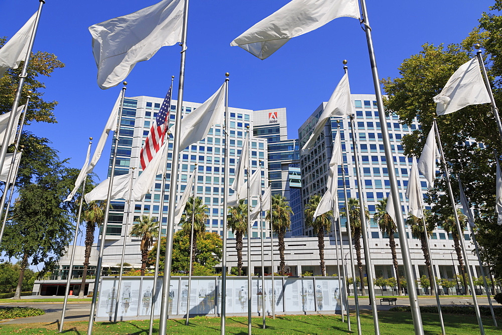 Flags in the Veteran's Memorial and Adobe Corporation, San Jose, California, United States of America, North America