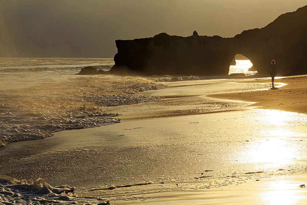 Lighthouse State Beach, Santa Cruz, California, United States of America, North America