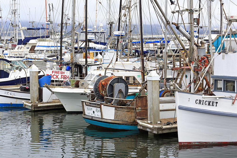 Marina in Pillar Point Harbor, Half Moon Bay, California, United States of America, North America