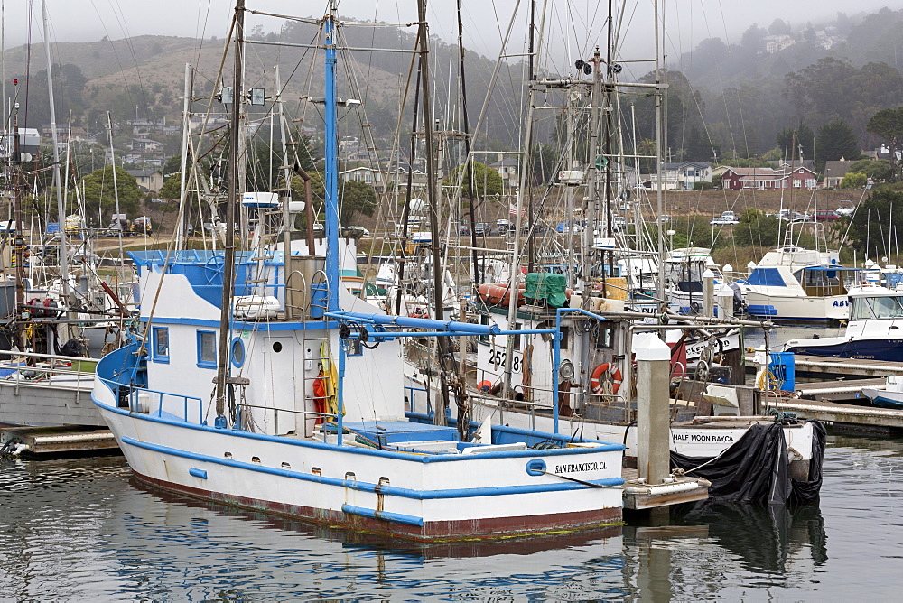 Marina in Pillar Point Harbor, Half Moon Bay, California, United States of America, North America