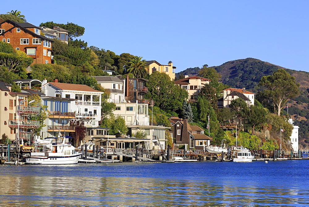 Waterfront homes in Tiburon, Marin County, California, United States of America, North America