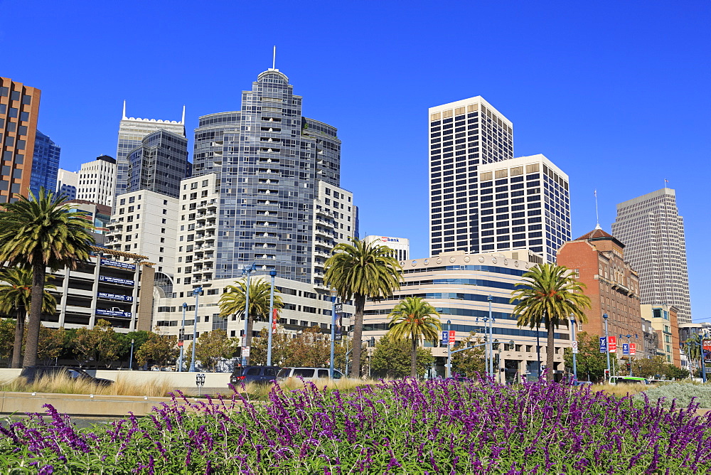 Skyscrapers on the Embarcadero, San Francisco, California, United States of America, North America 