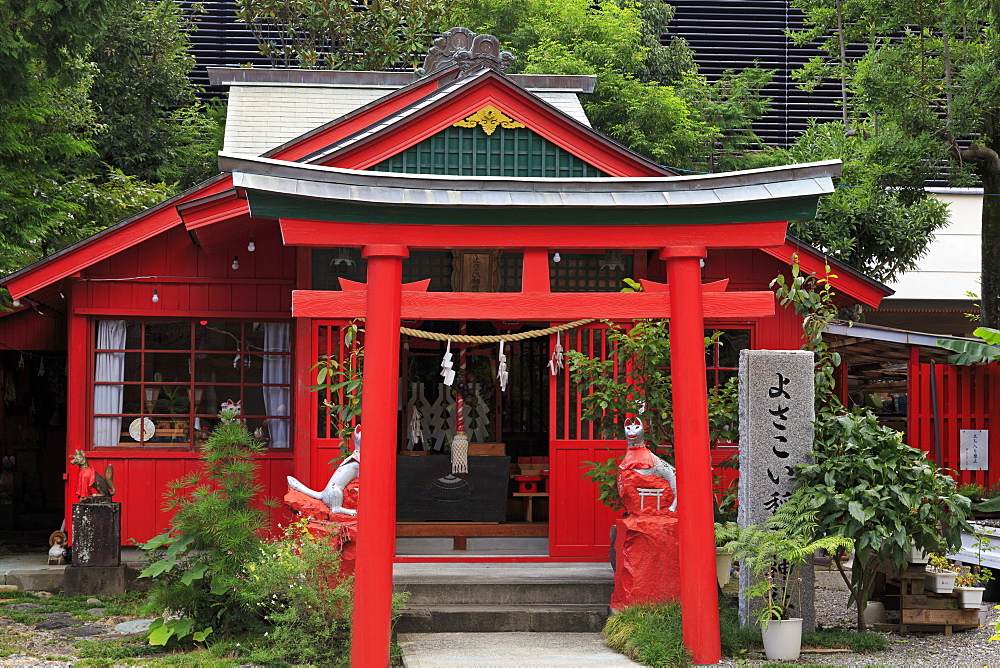 Kochi dai Jingu Shrine, Kochi City, Shikoku Island, Japan, Asia