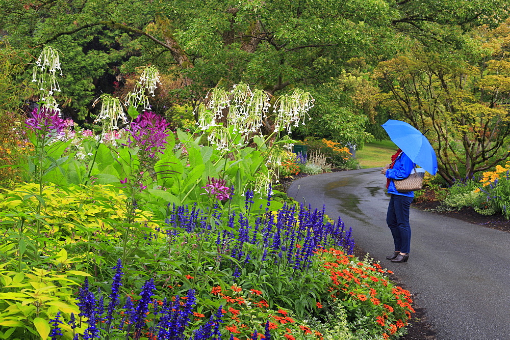 VanDusen Gardens, Vancouver, British Columbia, Canada, North America