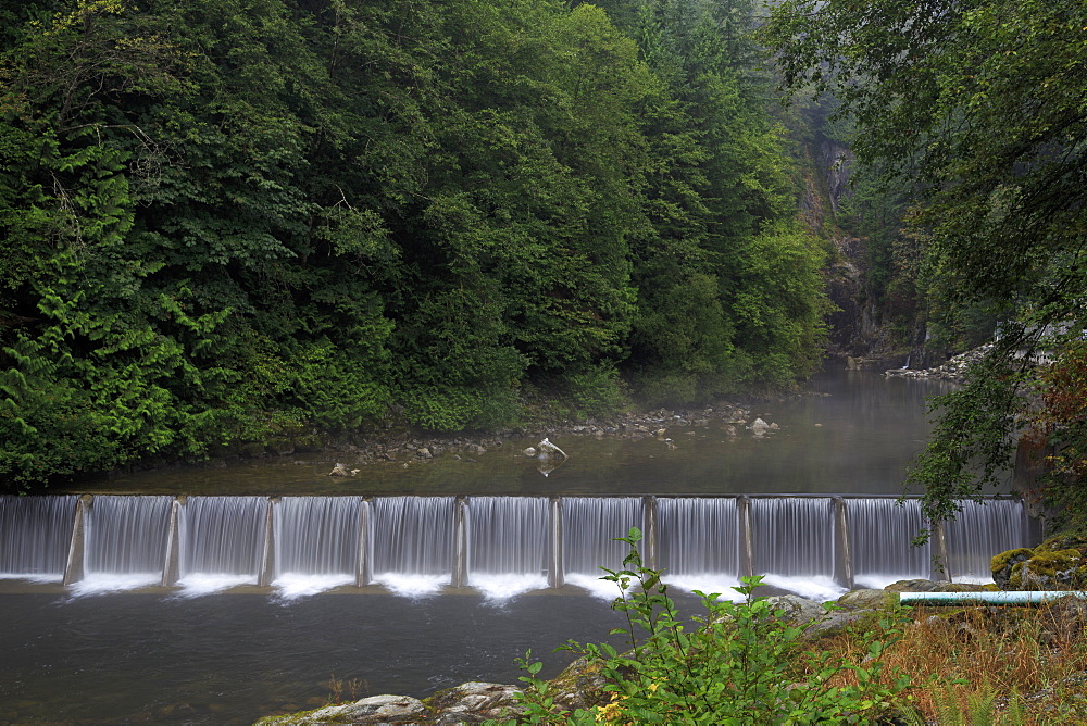 Capilano River Regional Park, Vancouver, British Columbia, Canada, North America