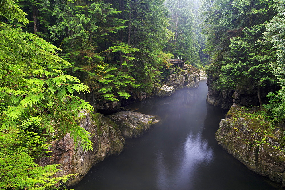 Capilano River Regional Park, Vancouver, British Columbia, Canada, North America