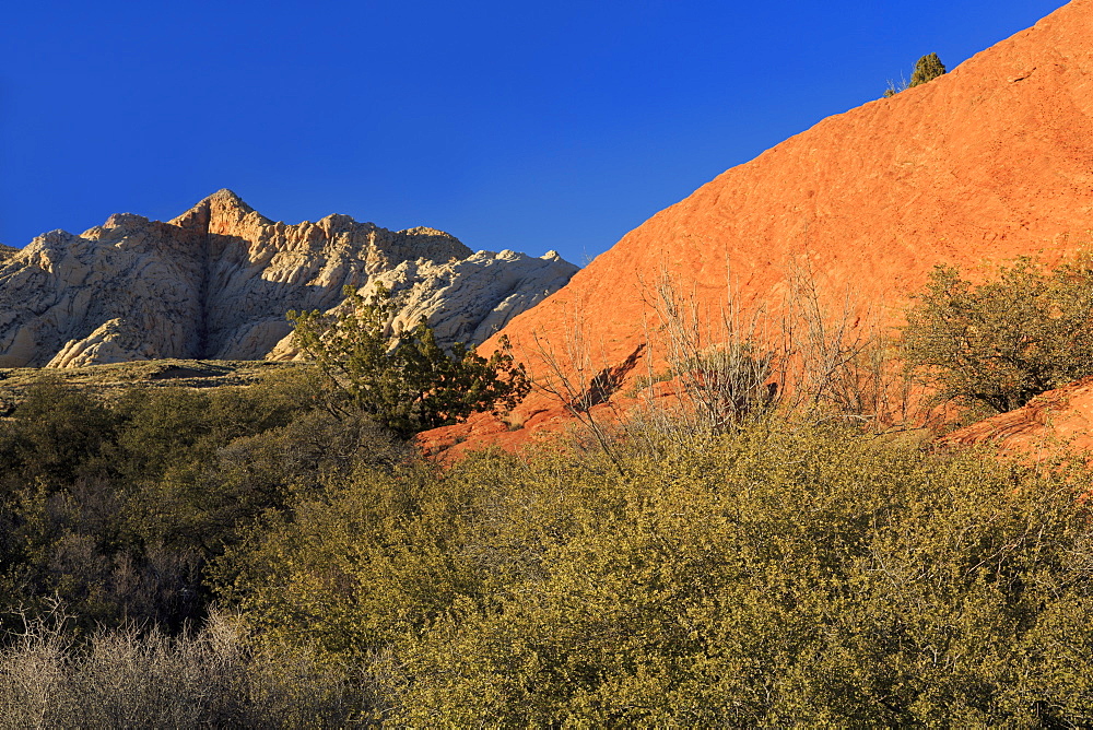 Snow Canyon State Park, St. George, Utah, United States of America, North America