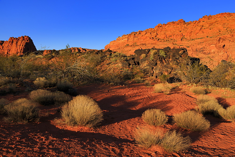 Snow Canyon State Park, St. George, Utah, United States of America, North America