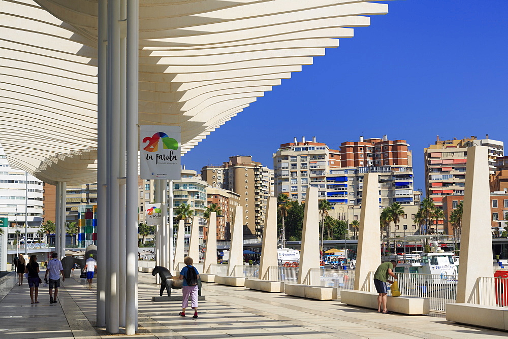 Paseo De La Pergola, Malaga, Andalusia, Spain, Europe