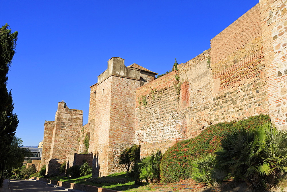 Alcazaba Palace, Malaga, Andalusia, Spain, Europe