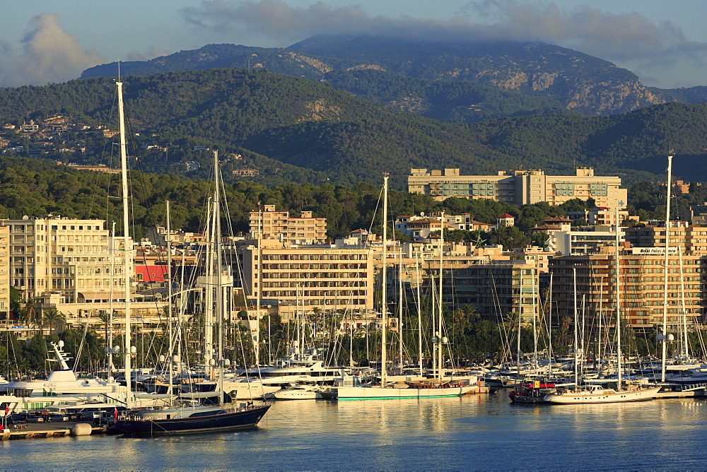 Yacht Marina, Palma De Mallorca, Majorca, Balearic Islands, Spain, Mediterranean, Europe