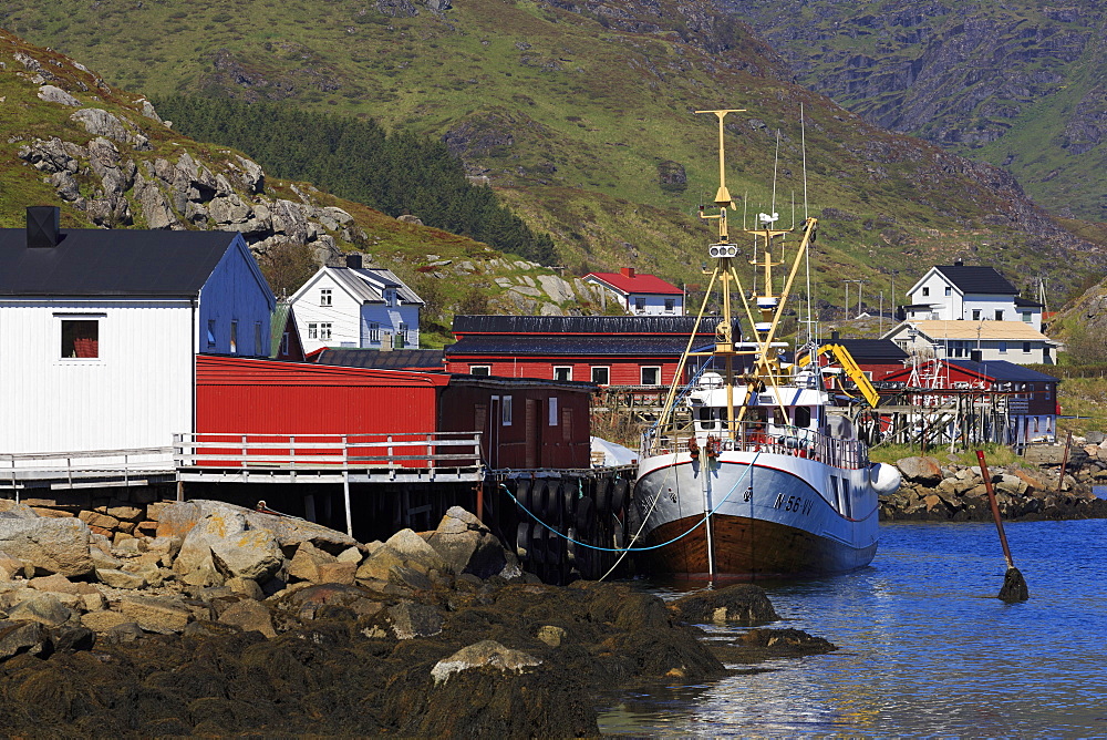 Fish factory, Ballstad Fishing Village, Lofoten Islands, Nordland County, Arctic, Norway, Scandinavia, Europe