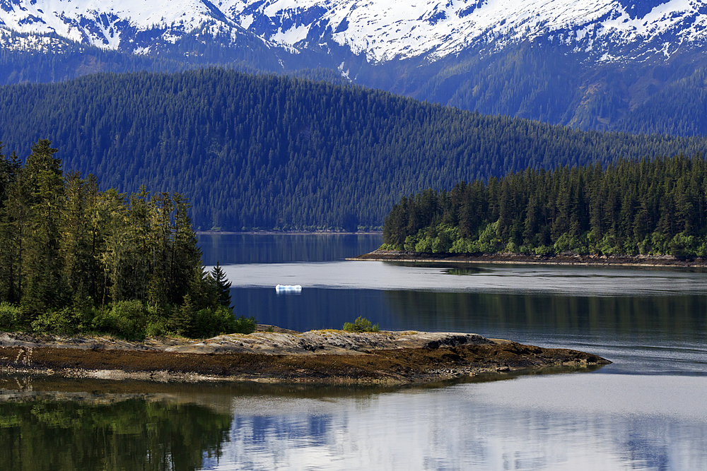 Endicott Arm, Holkham Bay, Juneau, Alaska, United States of America, North America