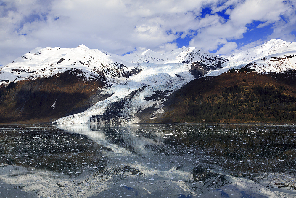 Glacier in College Fjord, Southeast Alaska, United States of America, North America