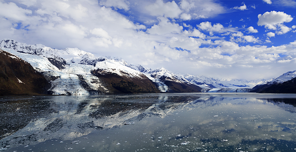 Harvard Glacier in College Fjord, Southeast Alaska, United States of America, North America