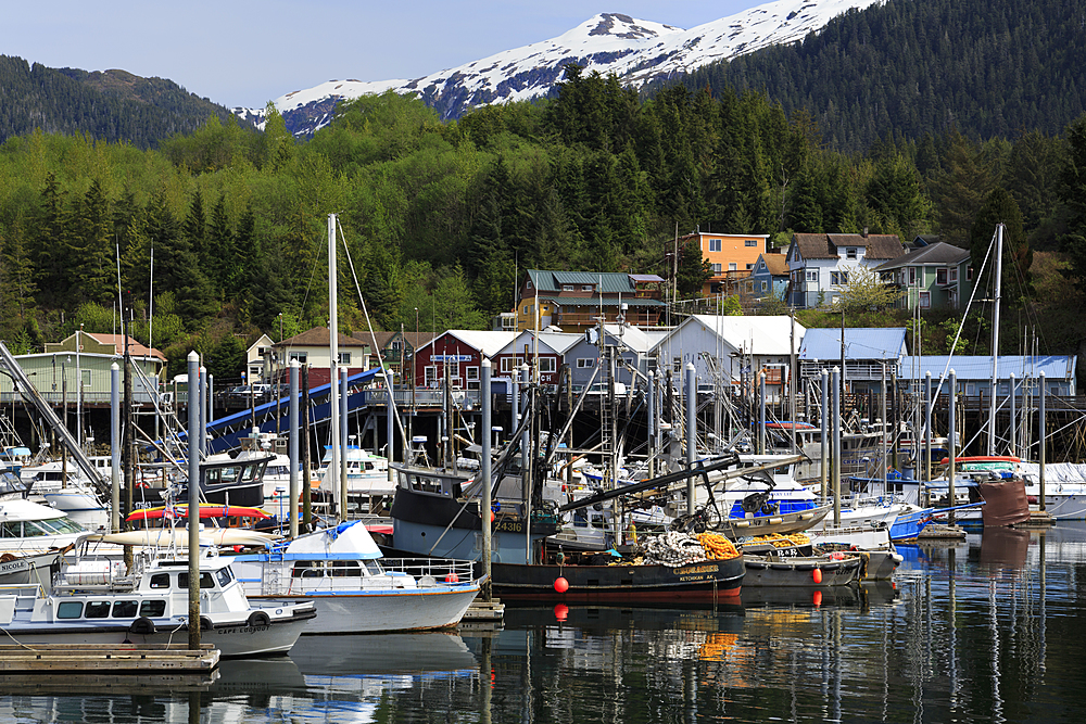 Thomas Basin boat harbor, Ketchikan, Alaska, United States of America, North America