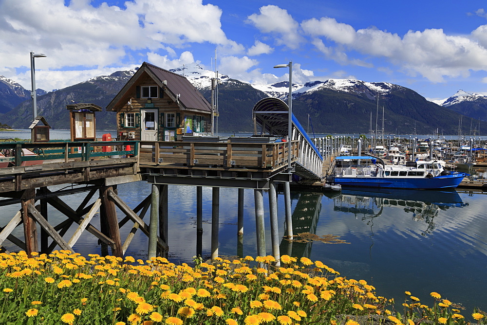 Harbor Masters Office, Small Boat Harbor, Haines, Lynn Canal, Alaska, United States of America, North America