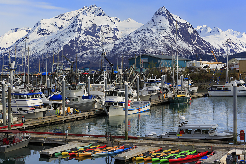 Small Boat Harbor, Valdez, Prince William Sound, Alaska, United States of America, North America