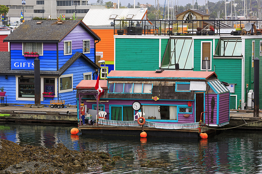 Houseboats, Fisherman's Wharf, Victoria, Vancouver Island, British Columbia, Canada, North America