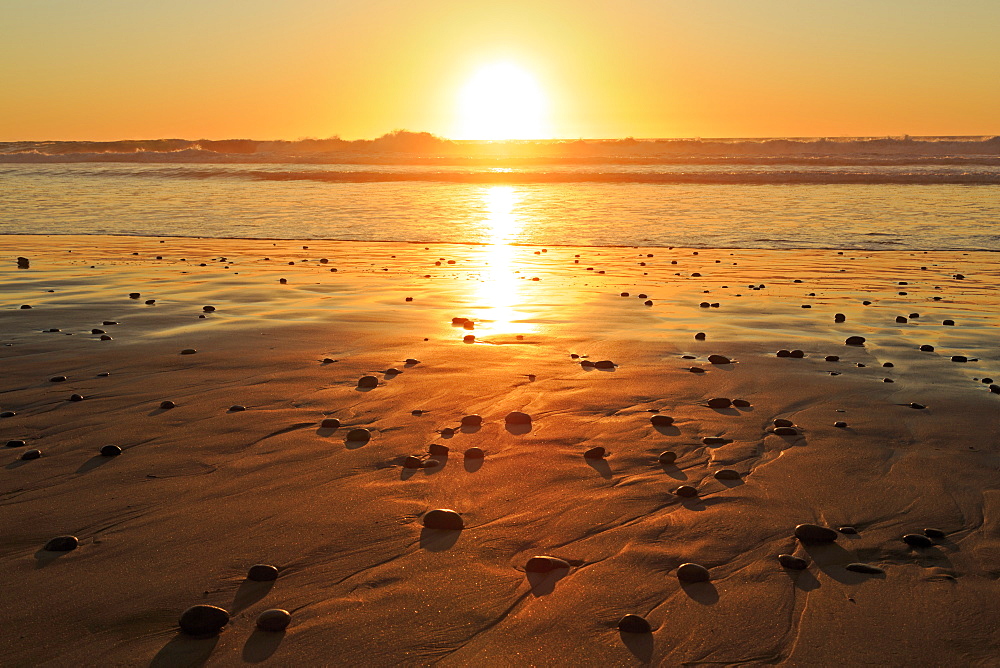 Torrey Pines State Beach, Del Mar, San Diego County, California, United States of America, North America